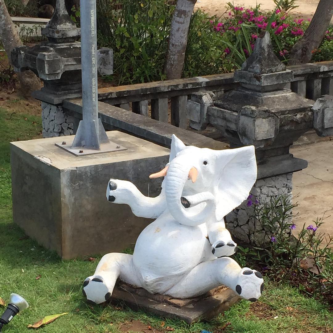 Image for Playful elephant in Bali